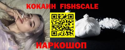 индика Гай