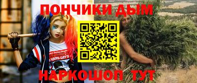 индика Гай