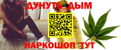 индика Гай