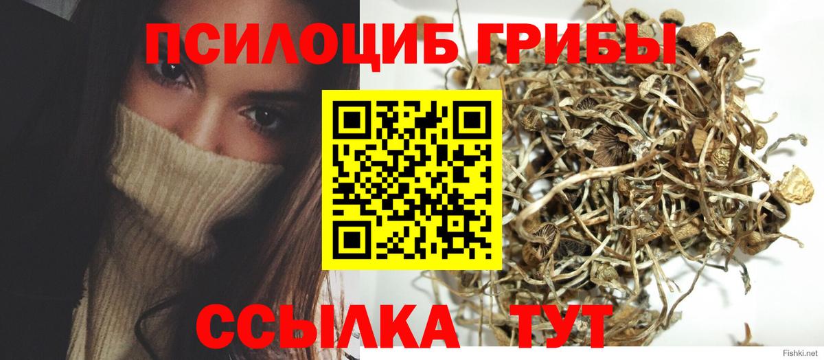 Галлюциногенные грибы мухоморы Выкса